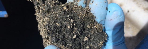 用離心機用于奶牛和豬(豬)糞便分離的好處